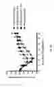 Fig. 29 - USES OF PHOSPHOLIPID CONJUGATES OF SYNTHETIC TLR7 AGONISTS