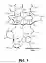 Fig. 02 - COMPOSITIONS COMPRISING VITAMIN B12 AND INTRINSIC FACTOR AND METHODS OF USE THEREOF