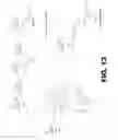 Fig. 13 - COMPOSITIONS COMPRISING VITAMIN B12 AND INTRINSIC FACTOR AND METHODS OF USE THEREOF