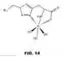 Fig. 14 - COMPOSITIONS COMPRISING VITAMIN B12 AND INTRINSIC FACTOR AND METHODS OF USE THEREOF