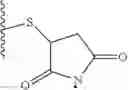 Fig. 04 - Factor VIII zwitterionic polymer conjugates