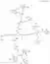 Fig. 29 - Factor VIII zwitterionic polymer conjugates