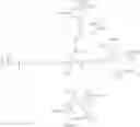 Fig. 50 - Factor VIII zwitterionic polymer conjugates