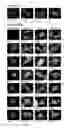Fig. 10 - Development of novel macromolecule transduction domain with improved cell permeability and method for using same