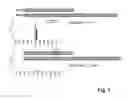 Fig. 02 - Peptides and peptide/active compound conjugates for renal targeting