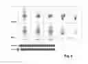 Fig. 05 - Peptides and peptide/active compound conjugates for renal targeting