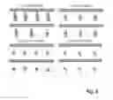 Fig. 06 - Peptides and peptide/active compound conjugates for renal targeting