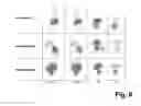 Fig. 10 - Peptides and peptide/active compound conjugates for renal targeting