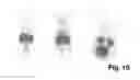 Fig. 11 - Peptides and peptide/active compound conjugates for renal targeting