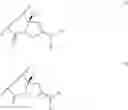 Fig. 28 - Anti-Ly6E antibodies and immunoconjugates and methods of use