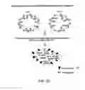 Fig. 07 - Methods and compositions for protein delivery