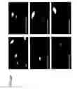 Fig. 32 - Methods and compositions for protein delivery
