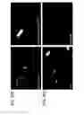 Fig. 34 - Methods and compositions for protein delivery