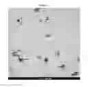 Fig. 09 - Method of preparation of biodegradable nanoparticles with recognition characteristics