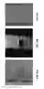 Fig. 06 - Eukaryotic cells with artificial endosymbionts for multimodal detection