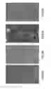 Fig. 07 - Eukaryotic cells with artificial endosymbionts for multimodal detection