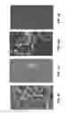 Fig. 09 - Eukaryotic cells with artificial endosymbionts for multimodal detection