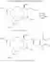 Fig. 43 - Multimodal imaging of fibrin