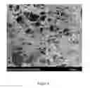 Fig. 05 - Injectable, biodegradable bone cements and methods of making and using same