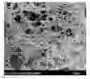 Fig. 01 - Injectable, biodegradable bone cements and methods of making and using same