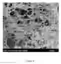 Fig. 05 - Injectable, biodegradable bone cements and methods of making and using same