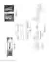 Fig. 05 - DRESSING COMPOSITIONS AND METHODS