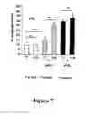Fig. 08 - COLLAGEN SCAFFOLD MODIFIED BY COVALENT GRAFTING OF ADHESION MOLECULES, ASSOCIATED METHODS AND USE THEREOF FOR CARDIOVASCULAR AND THORACIC CELL THERAPY AND CONTRACTILE TISSUE ENGINEERING