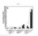 Fig. 10 - Bioelastomers and applications thereof
