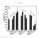 Fig. 11 - Bioelastomers and applications thereof