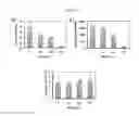 Fig. 30 - Bioelastomers and applications thereof