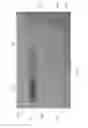 Fig. 16 - ORGANIZATIONAL SYSTEMS, METHODS AND APPARATUSES FOR MEDICATION SYRINGES