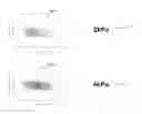 Fig. 21 - Powder dispersion methods and devices