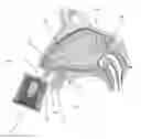 Fig. 03 - Nasal Delivery Device and Methods of Use