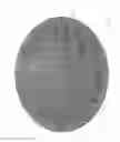 Fig. 07 - SINGLE USE INTRANASAL ATOMIZER
