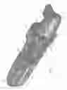 Fig. 09 - SINGLE USE INTRANASAL ATOMIZER