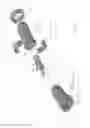 Fig. 13 - SINGLE USE INTRANASAL ATOMIZER