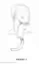 Fig. 05 - Breathing assistance apparatus