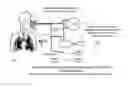 Fig. 01 - Hydrogen-rich gas mixture breathing system