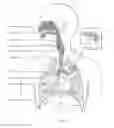 Fig. 03 - Respiratory therapy apparatus