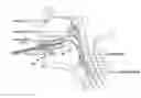 Fig. 01 - Respiratory interface