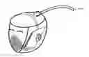 Fig. 01 - BREATHING MASK AND METHODS THEREOF