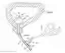 Fig. 01 - Method of dissecting tissue