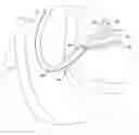Fig. 01 - Biliary access catheter system and methods for accessing the biliary tree