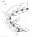 Fig. 01 - Asymmetric cochlear implant electrodes and method