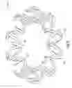Fig. 14 - Toroidal compressible element including a switchback pattern