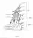 Fig. 05 - Antenna and methods of use for an implantable nerve stimulator