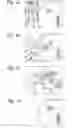 Fig. 02 - Antigen delivery device and method