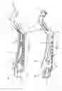 Fig. 03 - WOMEN'S LACROSSE STICK HEAD