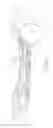 Fig. 05 - WOMEN'S LACROSSE STICK HEAD