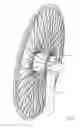 Fig. 05 - Bearing system for observation wheels